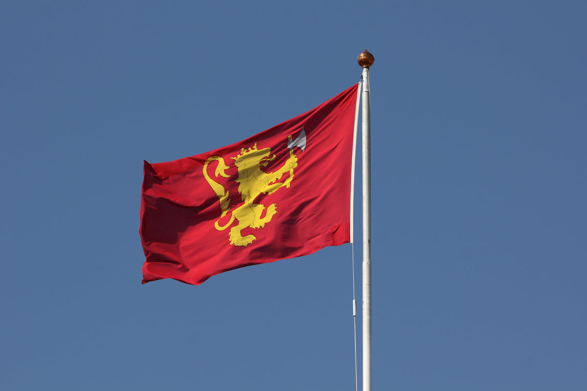 Flagning på Det Kongelige Slot i Norge – hvad betyder flaget?