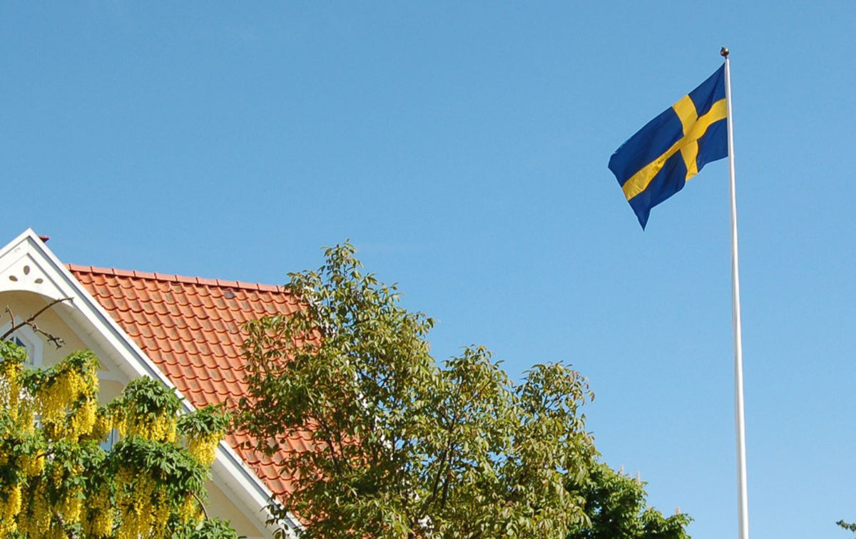 Hvad hedder det svenske flag?