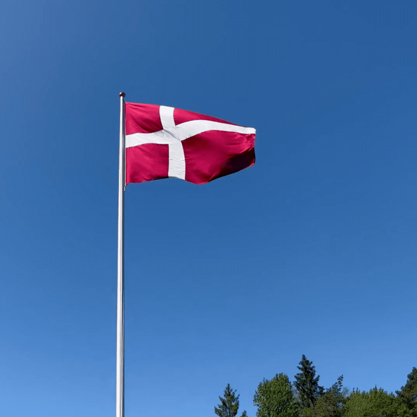 Dansk Flagga
