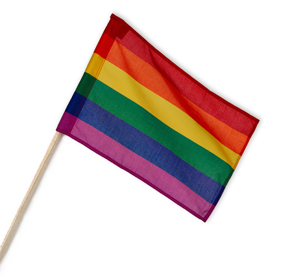 Regnbågsflagga på pinne