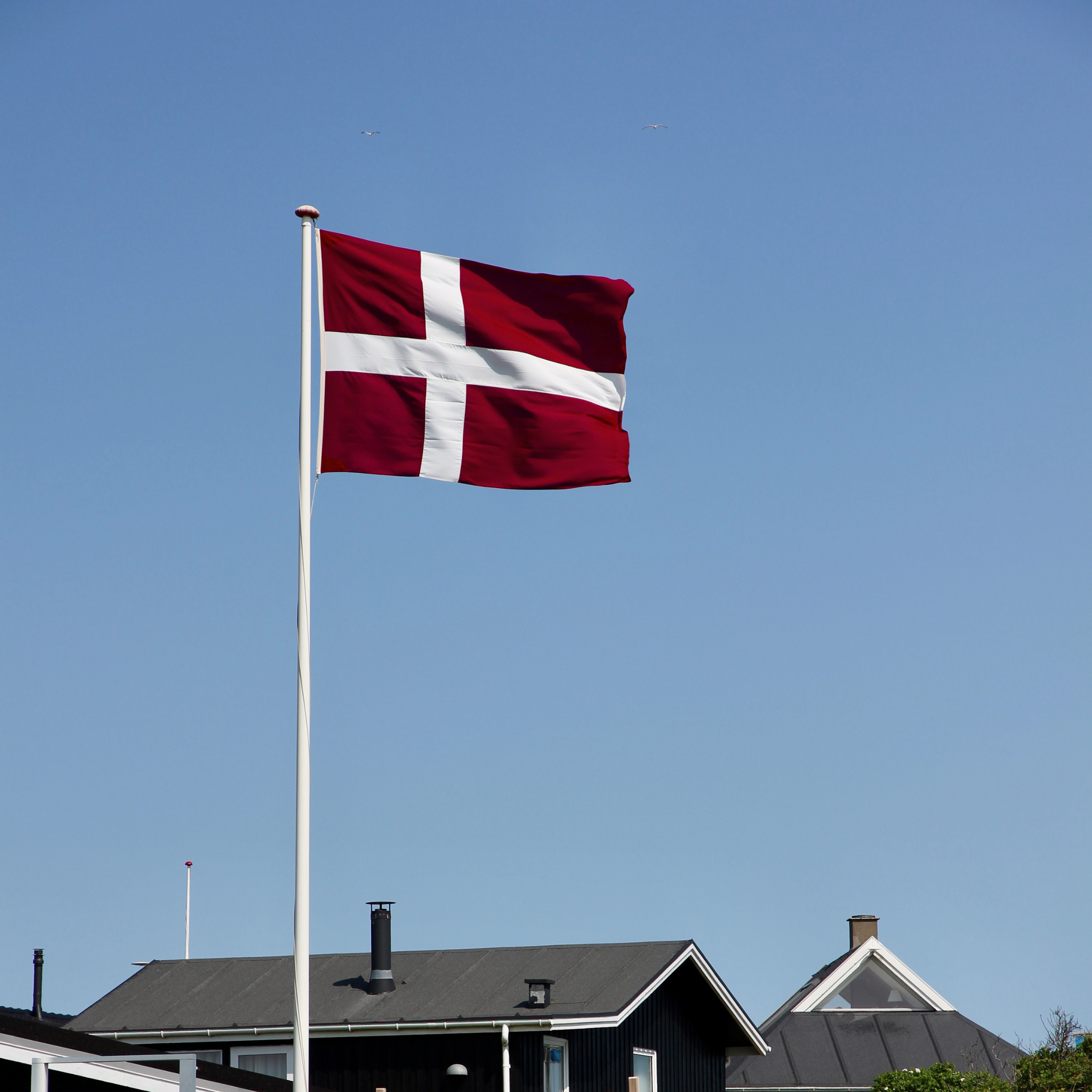 Dannebrog 1219