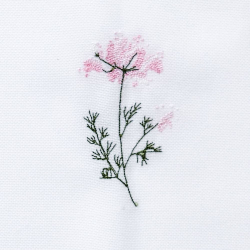 Flora tygservett med vild morotsblomma