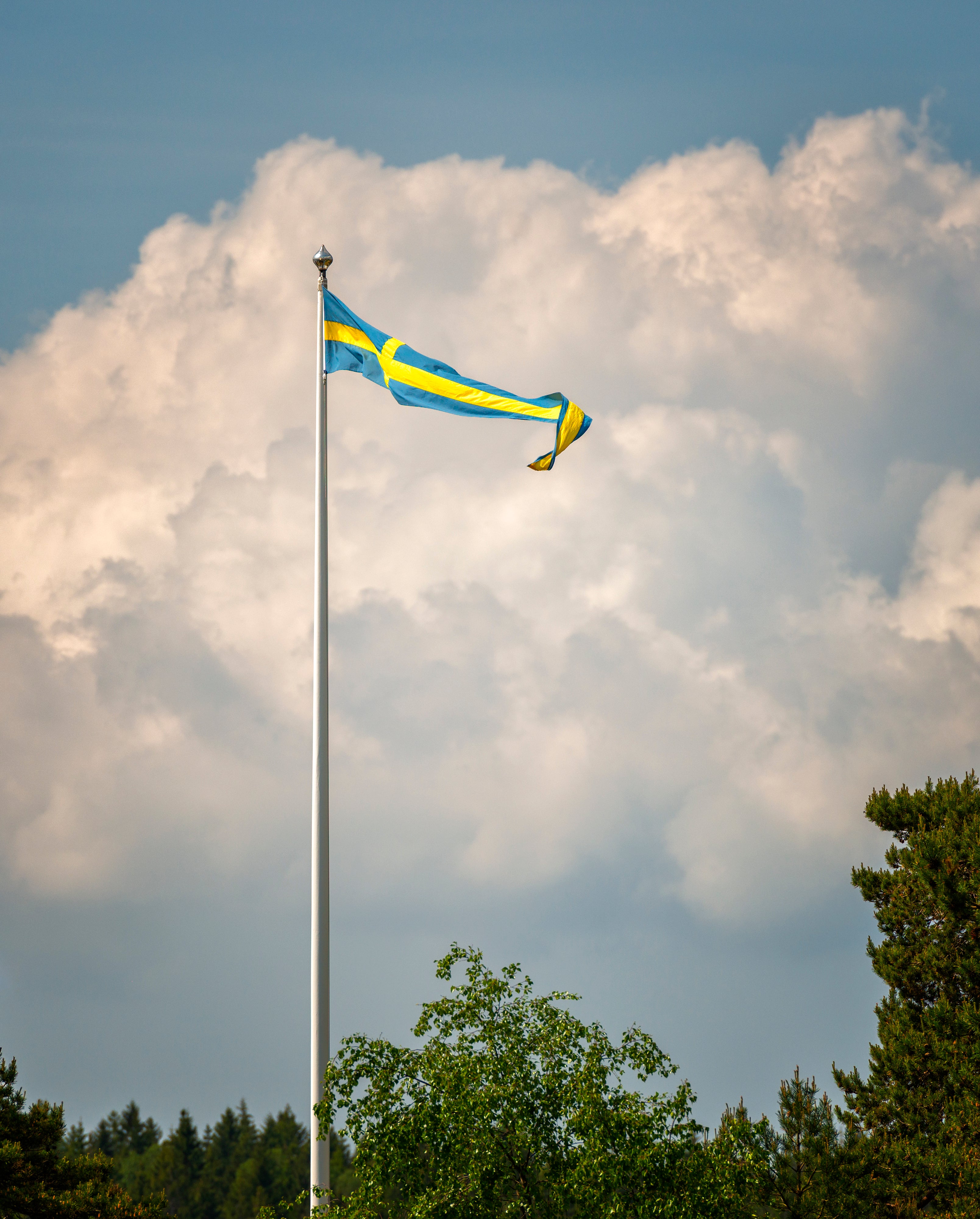 Korsvimpel - Original