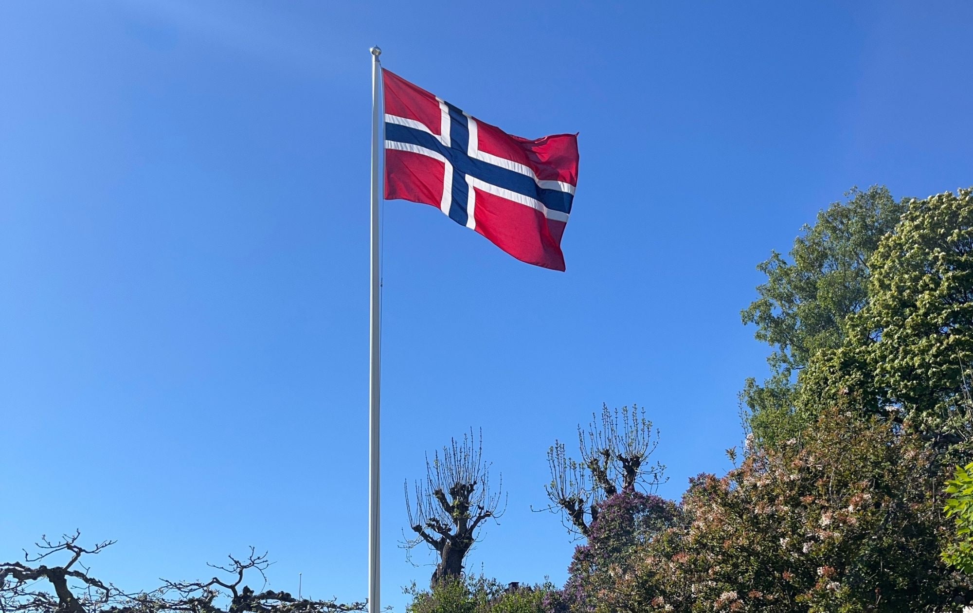 Sådan passer du godt på dit flag – råd til længere levetid