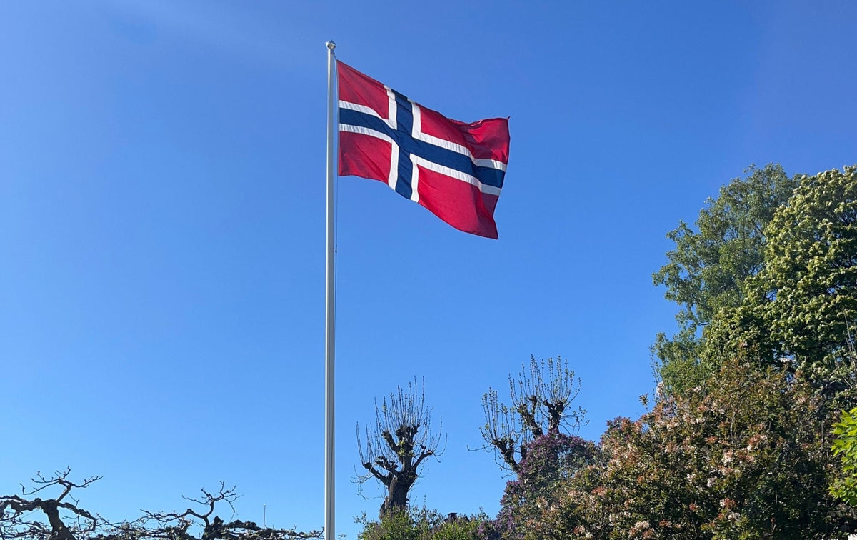 Hvad hedder det norske flag?