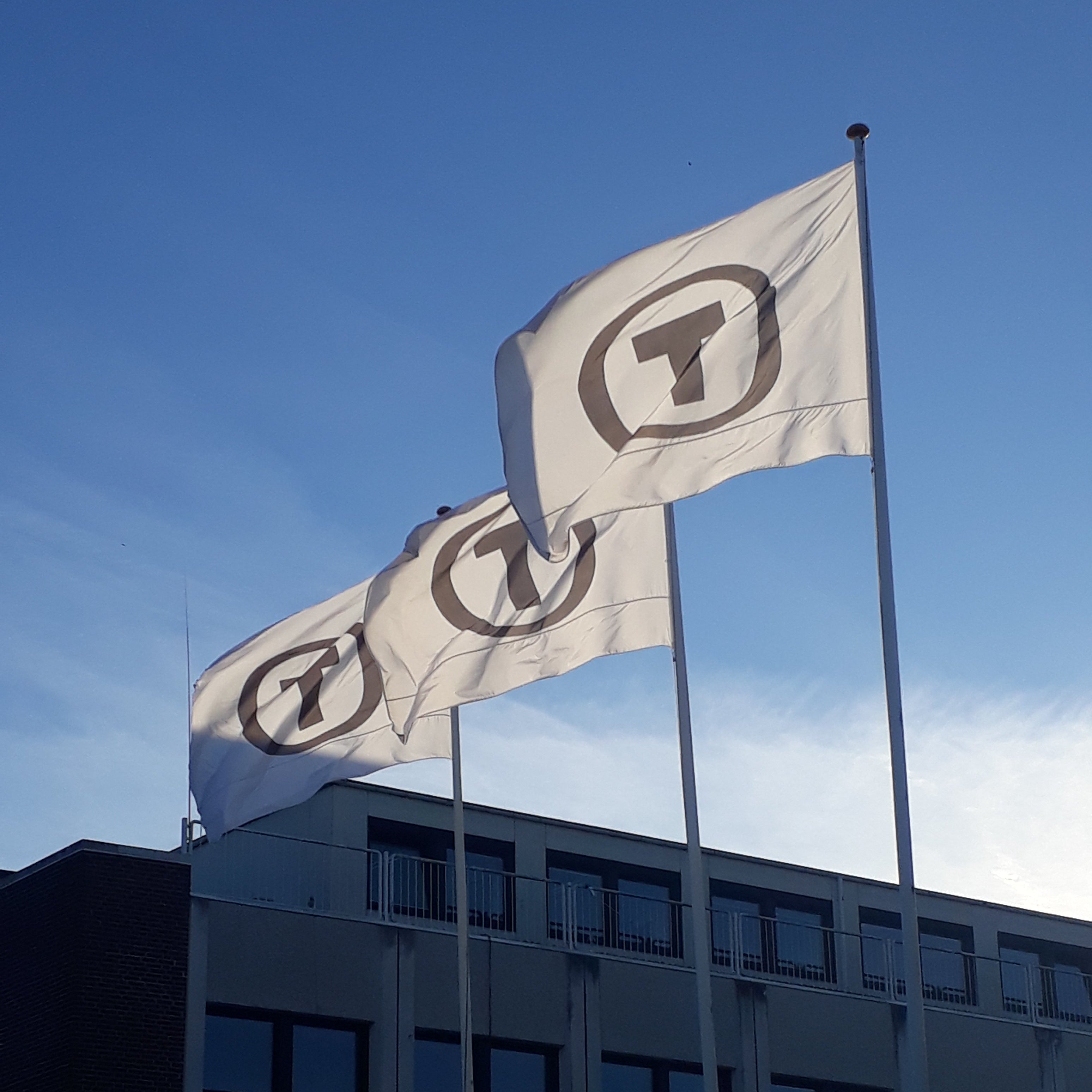 Flagga med logga – flaggformat