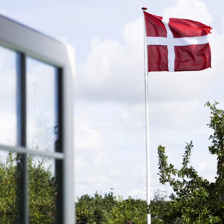 Ærø flaget - Regional flagga för Ærø