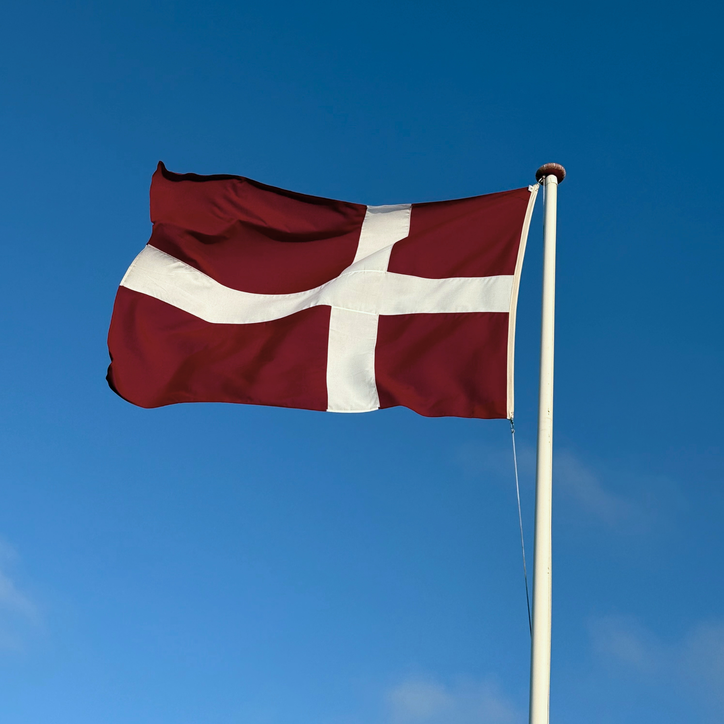 Dannebrog 1219