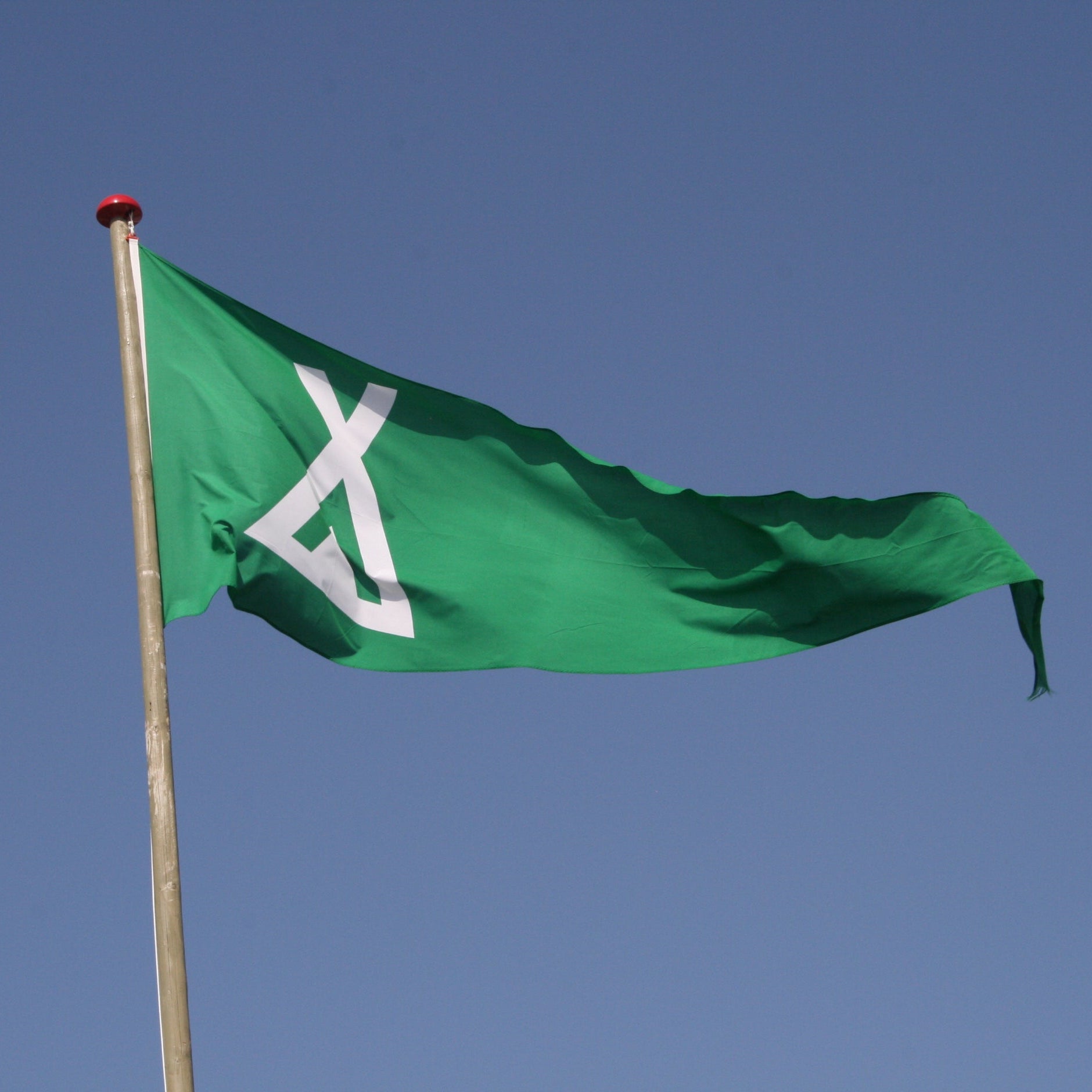 Logoflag - standerformat
