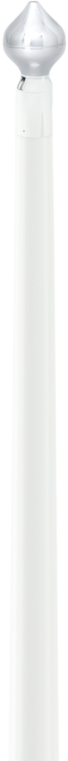 Flag pole